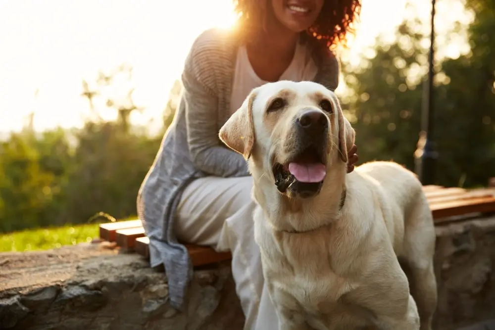 A young woman sitting down with a dog in the park.