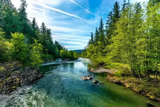 Bright blue river running through an Oregon forest.