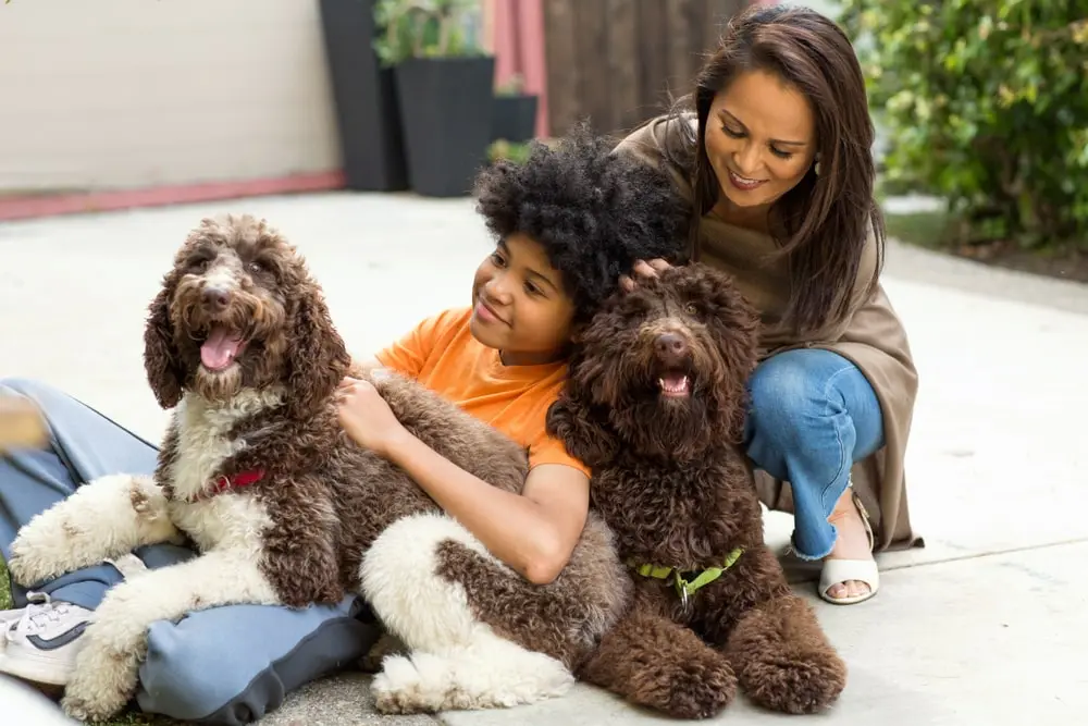 Happy mother and son playing with their dogs.